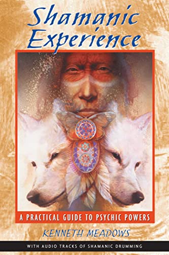 Stock image for Shamanic Experience - A Practical Guide to Psychic Powers for sale by Veronica's Books