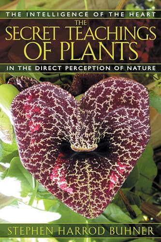 Imagen de archivo de The Secret Teachings of Plants: The Intelligence of the Heart in the Direct Perception of Nature a la venta por SecondSale