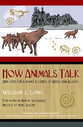 9781591430568: How Animals Talk