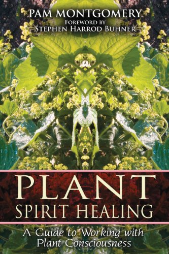 Beispielbild fr Plant Spirit Healing: A Guide to Working with Plant Consciousness zum Verkauf von Weird Books