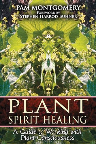 Stock image for Plant Spirit Healing: A Guide to Working with Plant Consciousness for sale by SecondSale