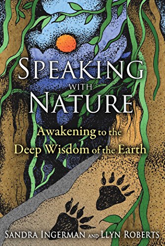 Imagen de archivo de Speaking with Nature: Awakening to the Deep Wisdom of the Earth a la venta por GoldenWavesOfBooks