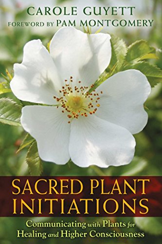 Beispielbild fr Sacred Plant Initiations zum Verkauf von Blackwell's