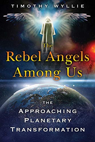 Beispielbild fr The Rebel Angels among Us: The Approaching Planetary Transformation zum Verkauf von Magers and Quinn Booksellers