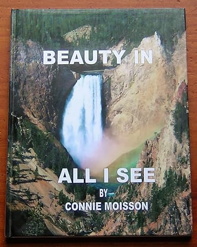 Stock image for Beauty in All I See (Photography and Text) for sale by Isle of Books