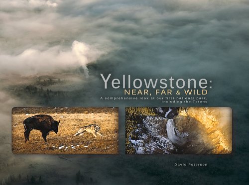 Beispielbild fr Yellowstone: Near, Far, and Wild: A Comprehensive Look at Our First National Park, Including the Tetons zum Verkauf von ThriftBooks-Atlanta