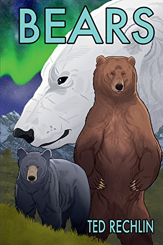 Stock image for Bears for sale by Goodwill Books