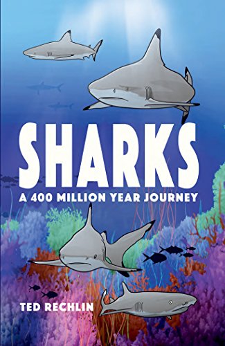 Beispielbild fr Sharks: A 400 Million Year Journey zum Verkauf von KuleliBooks