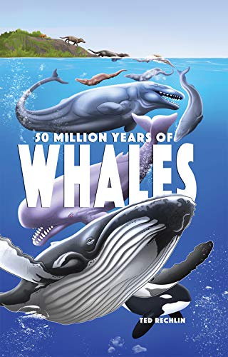 Stock image for 50 Million Years of Whales for sale by mountain