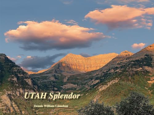 Beispielbild fr Utah Splendor zum Verkauf von Blackwell's