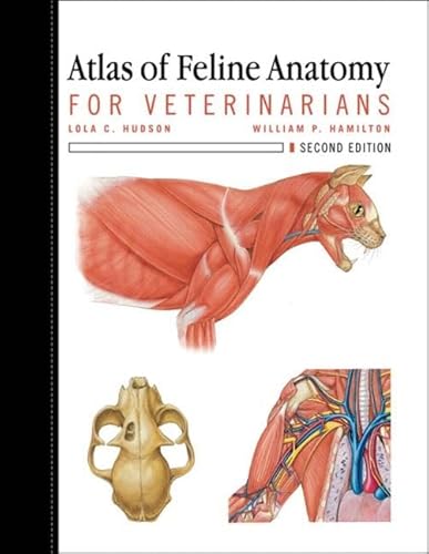 Beispielbild fr Atlas of Feline Anatomy For Veterinarians zum Verkauf von Blackwell's