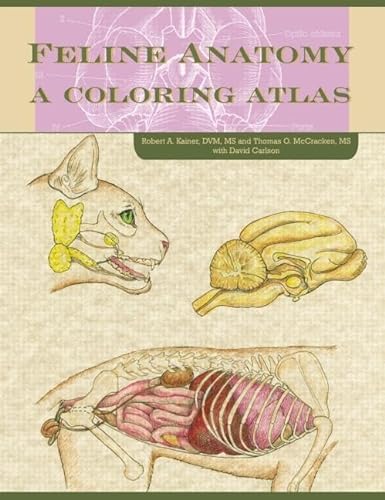 9781591610458: Feline Anatomy: A Coloring Atlas
