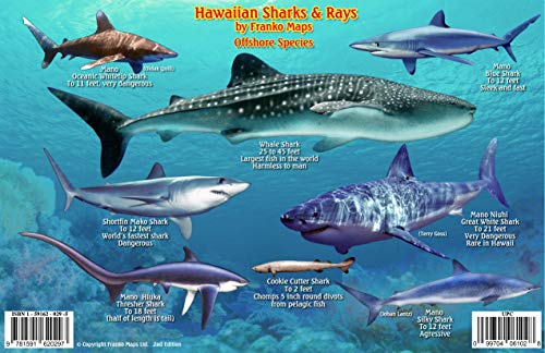 Stock image for Franko's Hawaiian Sharks & Rays Creatures Guide for sale by Revaluation Books