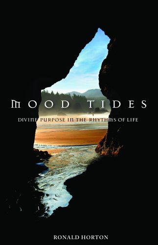Beispielbild fr Mood Tides: Divine Purpose in the Rhythms of Life zum Verkauf von ThriftBooks-Atlanta