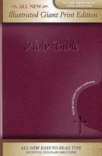 9781591779087: KJV Holy Bible, Giant Print, Illustrated, Italian Leatherette, Burgundy