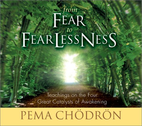 Imagen de archivo de From Fear to Fearlessness: Teachings on the Four Great Catalysts of Awakening a la venta por Seattle Goodwill