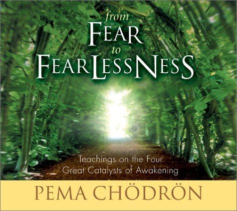 Stock image for From Fear to Fearlessness: Teachings on the Four Great Catalysts of Awakening for sale by Seattle Goodwill