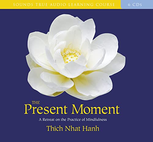 Stock image for The Present Moment: A Retreat on the Practice of Mindfulness for sale by Goodwill of Colorado