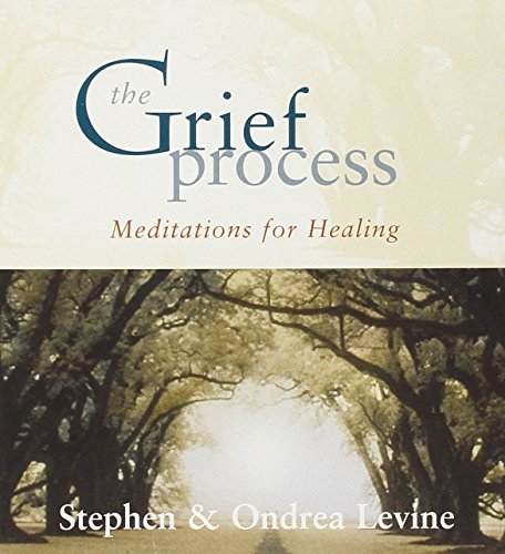 Stock image for The Grief Process: Meditations for Healing for sale by SecondSale