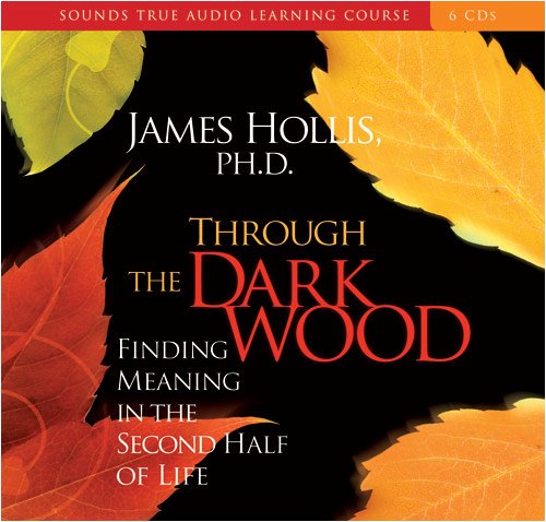 Imagen de archivo de Through the Dark Wood: Finding Meaning in the Second Half of Life a la venta por Byrd Books