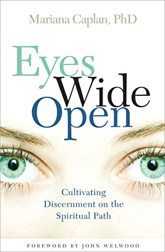 Imagen de archivo de Eyes Wide Open: Cultivating Discernment on the Spiritual Path a la venta por HPB-Diamond