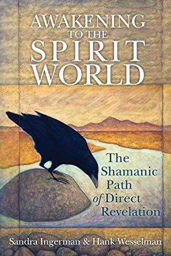 Imagen de archivo de Awakening to the Spirit World: The Shamanic Path of Direct Revelation a la venta por Goodwill Books