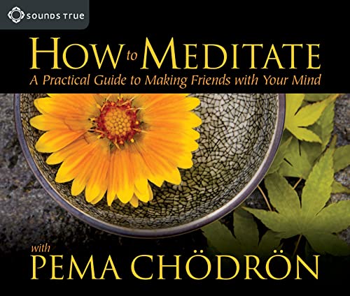 Beispielbild fr How to Meditate with Pema Chodron: A Practical Guide to Making Friends with Your Mind zum Verkauf von WorldofBooks