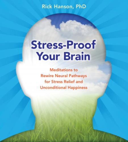 Imagen de archivo de Stress-Proof Your Brain: Meditations to Rewire Neural Pathways for Stress Relief and Unconditional Happiness a la venta por Seattle Goodwill
