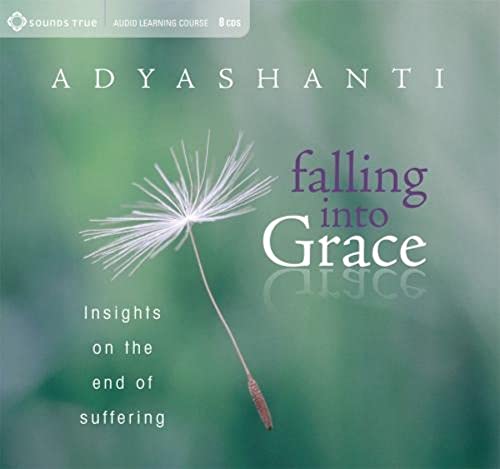 Beispielbild fr Falling into Grace: Insights on the End of Suffering zum Verkauf von HPB Inc.