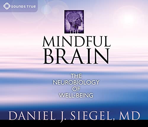 9781591799528: The Mindful Brain: The Neurobiology of Well-being
