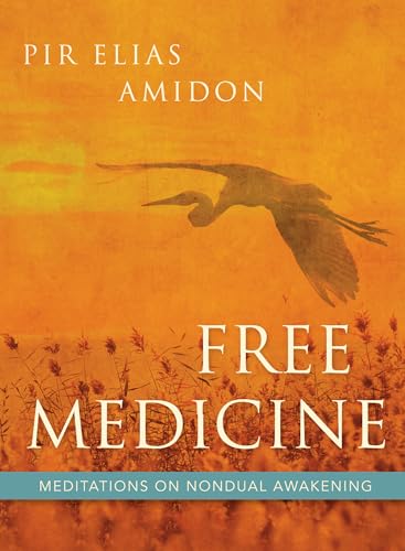 Beispielbild fr Free Medicine : Meditations on Nondual Awakening zum Verkauf von Better World Books