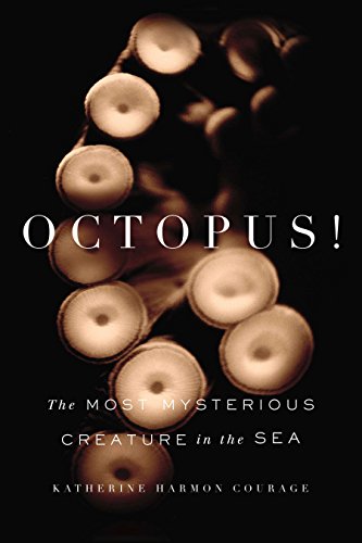Beispielbild fr Octopus! : The Most Mysterious Creature in the Sea zum Verkauf von Better World Books