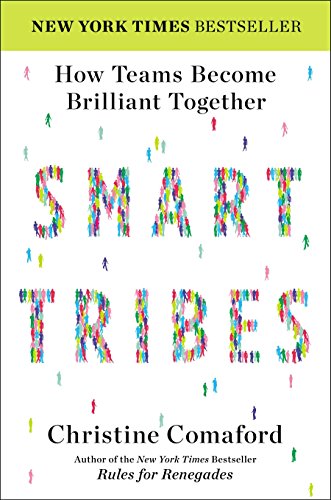 9781591846482: SmartTribes: How Teams Become Brilliant Together