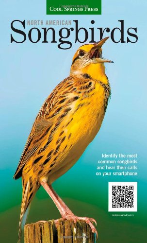 Beispielbild fr North American Songbirds : Identify the Most Common Songbirds and Hear Their Calls on Your Smartphone zum Verkauf von Better World Books