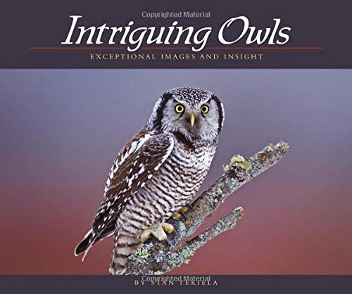 Stock image for Intriguing Owls: Exceptional Images and Insight (Wildlife Appreciation) for sale by Goodwill of Colorado