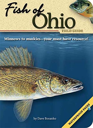 Stock image for Fish of Ohio Field Guide for sale by ThriftBooks-Atlanta