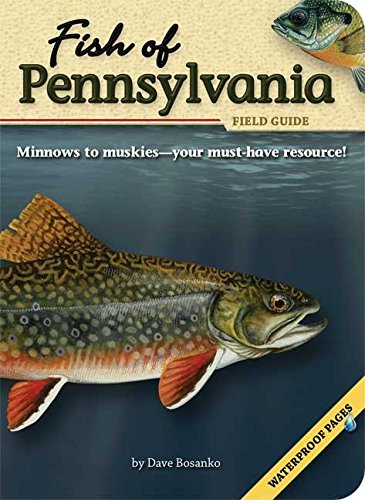 Stock image for Fish of Pennsylvania Field Guide (Fish Identification Guides) for sale by Amazing Books Pittsburgh