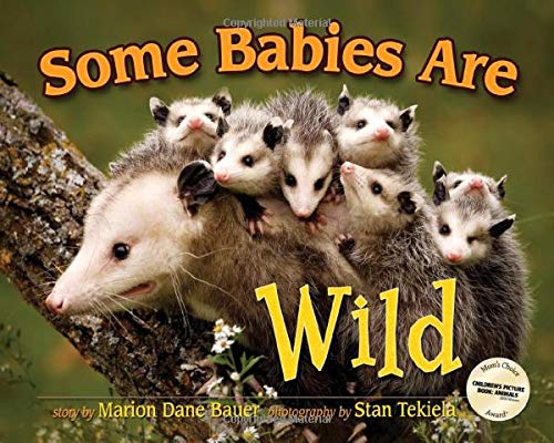 Beispielbild fr Some Babies Are Wild (Wildlife Picture Books) zum Verkauf von Wonder Book