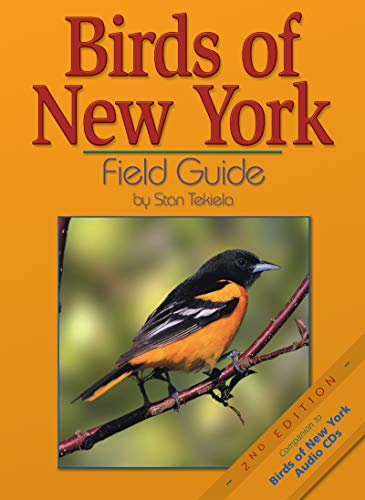 

Birds of New York Field Guide (Bird Identification Guides)