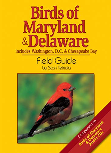 Beispielbild fr Birds of Maryland & Delaware Field Guide: Includes Washington, D.C. & Chesapeake Bay (Bird Identification Guides) zum Verkauf von Wonder Book