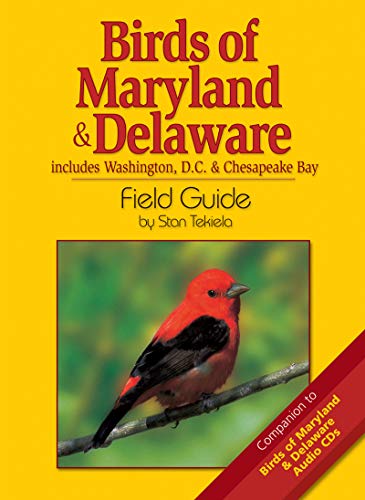 9781591931201: Birds of Maryland & Delaware Field Guide (Bird Field Guides) [Idioma Ingls]: Includes Washington, D.C. & Chesapeake Bay (Bird Identification Guides)