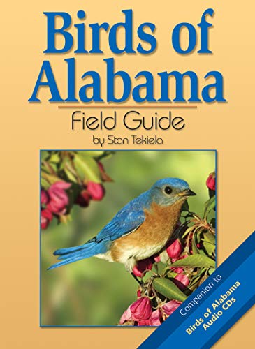 Stock image for Birds of Alabama Field Guide for sale by Sessions Book Sales