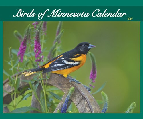 Birds of Minnesota 2007 Calendar (9781591931577) by [???]