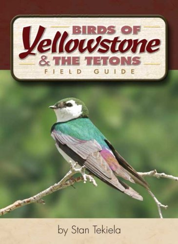 Birds of Yellowstone & Tetons Field Guide (9781591931607) by Tekiela, Stan
