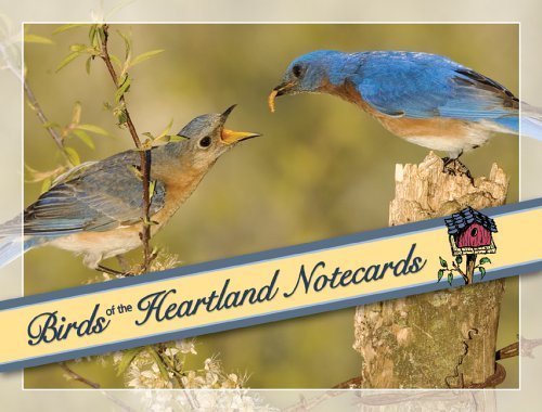 Birds of the Heartlands Notecards (9781591931676) by [???]