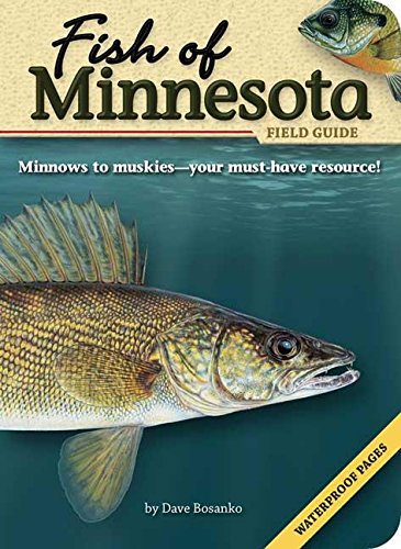 Stock image for Fish of Minnesota Field Guide (Fish Identification Guides) for sale by Goodwill