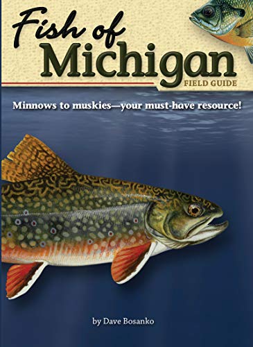 Stock image for Fish of Michigan Field Guide (Fish Identification Guides) for sale by Off The Shelf