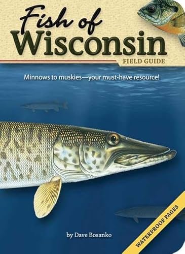 Stock image for Fish of Wisconsin Field Guide (Fish Identification Guides) for sale by Goodwill