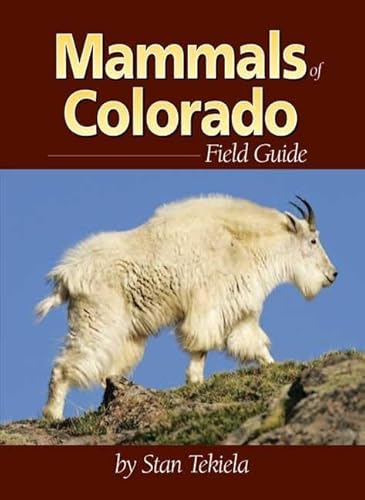 Mammals Of Colorado Field Guide Mammal Identification