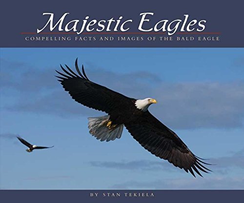 Stock image for Majestic Eagles: Compelling Facts and Images of the Bald Eagle (Wildlife Appreciation) for sale by Decluttr